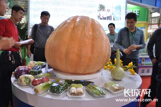 第十五届中国(廊坊)农产品交易会26日开幕