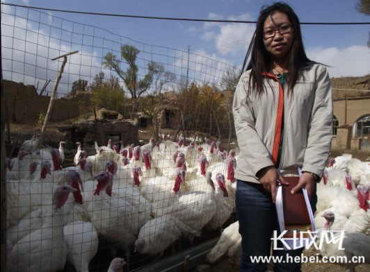 怀安建最大火鸡养殖厂 让农民生活火起来