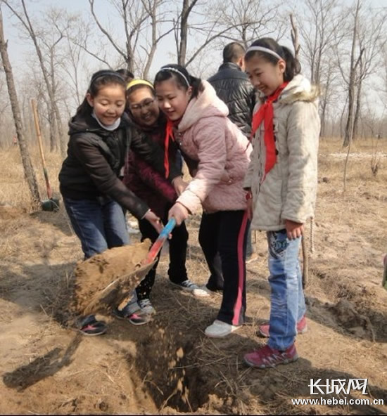 又到一年植树节石市小学生开展义务植树活动