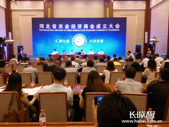 2日上午，河北省农业经济商会成立大会举行。