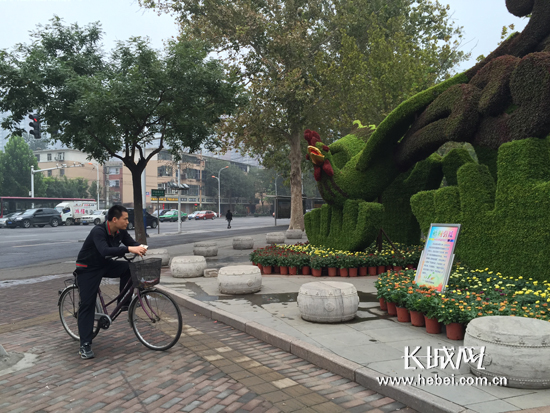 美丽的花坛吸引市民驻足观赏。