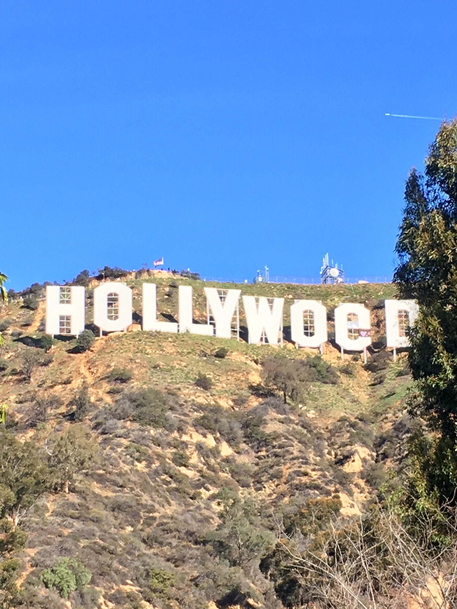 好莱坞标志性景观被篡改:hollywood变hollyweed