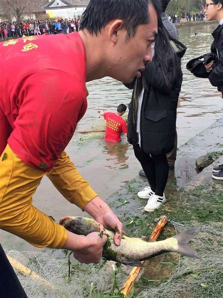 广东:3千多村民冬天争着下水捕鱼