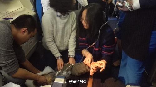 飞机上外籍女子晕倒口吐白沫 三名乘客跪地施救