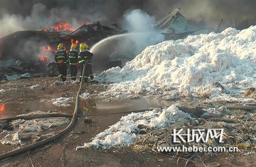 火灾现场。图片由沧州市公安消防支队提供