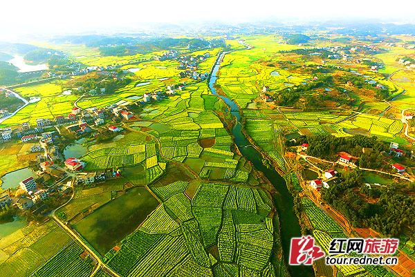 双峰县第七届油菜花文化旅游节开幕图