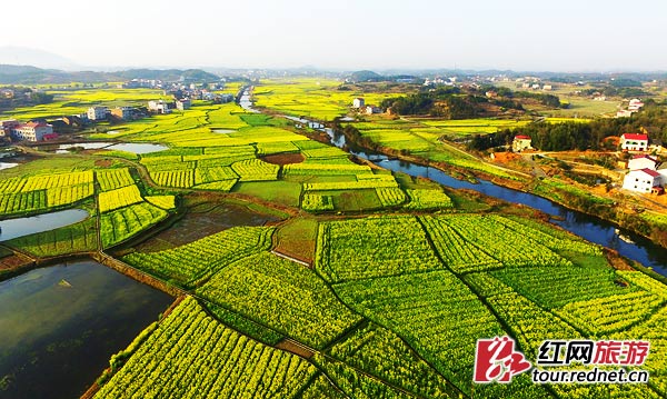 双峰县第七届油菜花文化旅游节开幕图