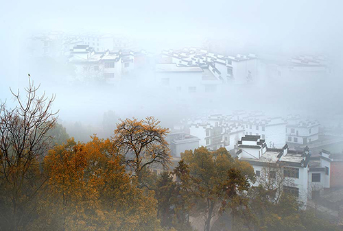 江西省杨岐山风景名胜区（来源：杨岐山景区官网）