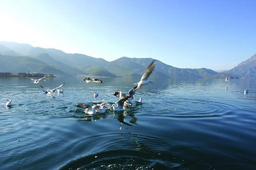 湖北省丹江口水库风景名胜区（来源：十堰政府网）