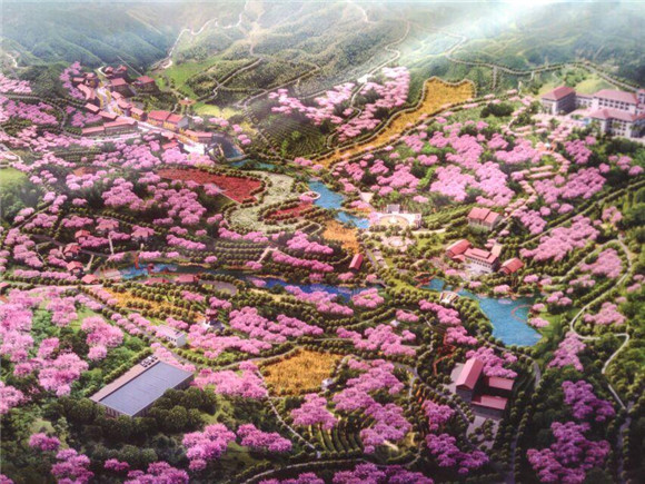 天台花谷是巴南区石滩镇在天台村打造观光农业园的一个子项目.