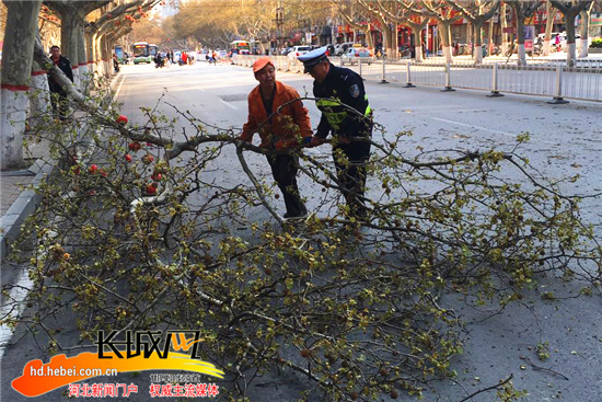 邯郸:厢货刮断市区法桐树枝 交警和园林联手搬