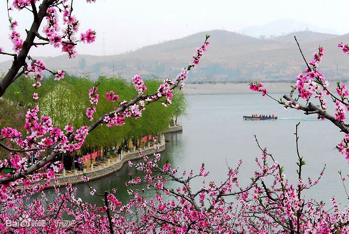 汇泉桃花岛,位于沂河源头第一村,沂源县鲁村镇龙子峪 ..