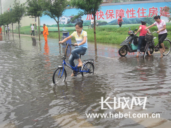 河北省住房和城乡建设厅 关于做好暴雨洪涝灾害救灾应急工作的紧急通知