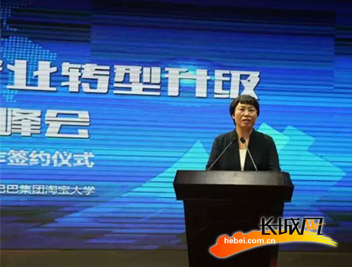 雄县县委常委、常务副县长张义霞在“互联网+”峰会上讲话。雄县宣传部 供图