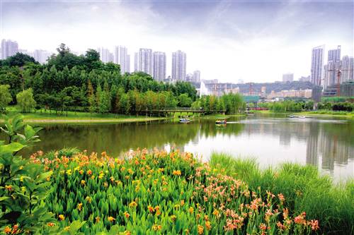 重庆建设：绿色发展 十年逐梦