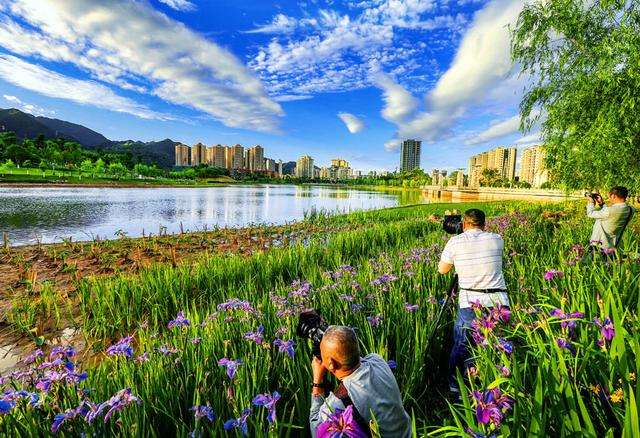 重庆日报评论员：绿色发展，守住寄托乡愁的家园