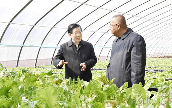 王东峰在正定县调研:切实抓好春耕生产和乡村