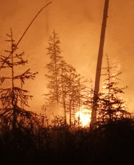 内蒙古林火蔓延至黑龙江 2000余人正在现场扑救