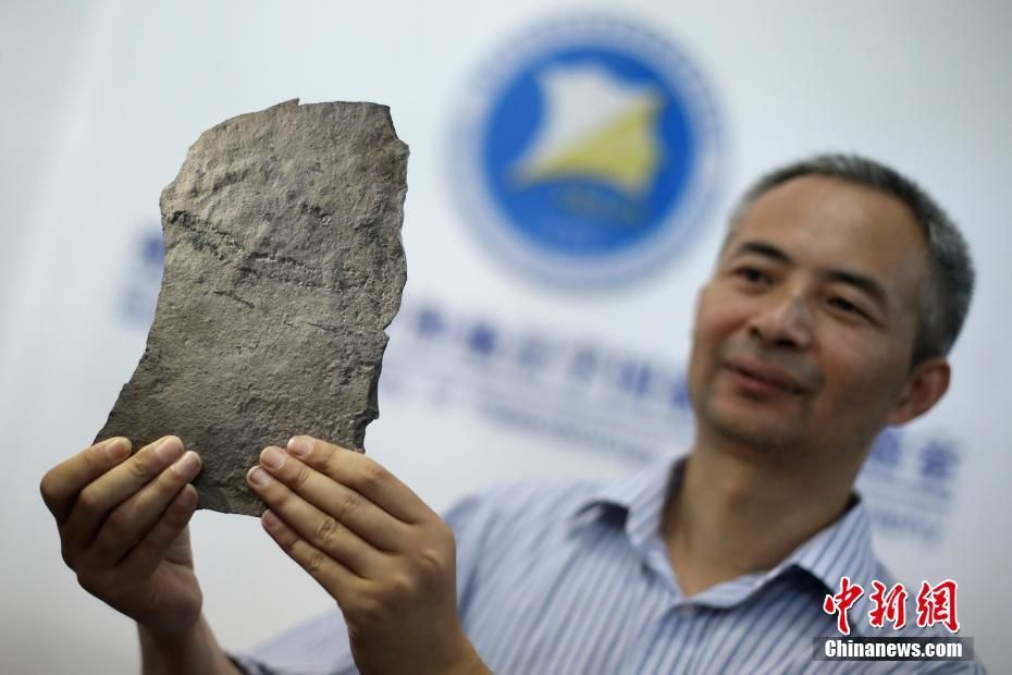 地球上最古老的动物足迹化石在中国发现