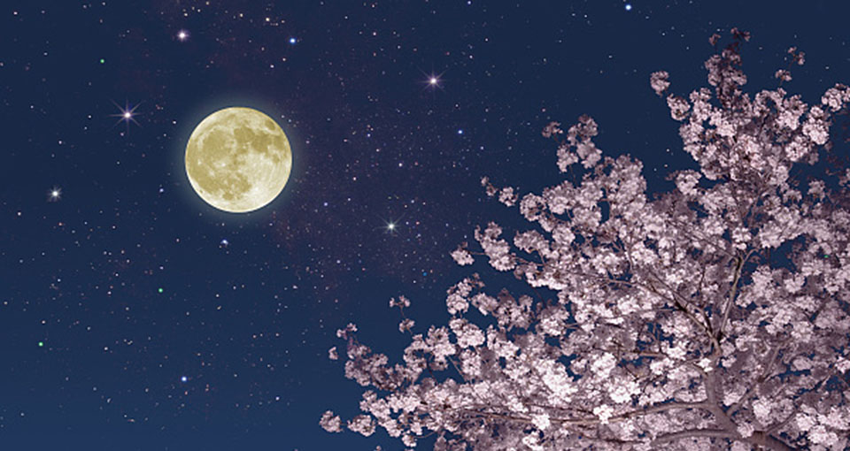 好消息！中秋节夜间云量较少 适宜赏月