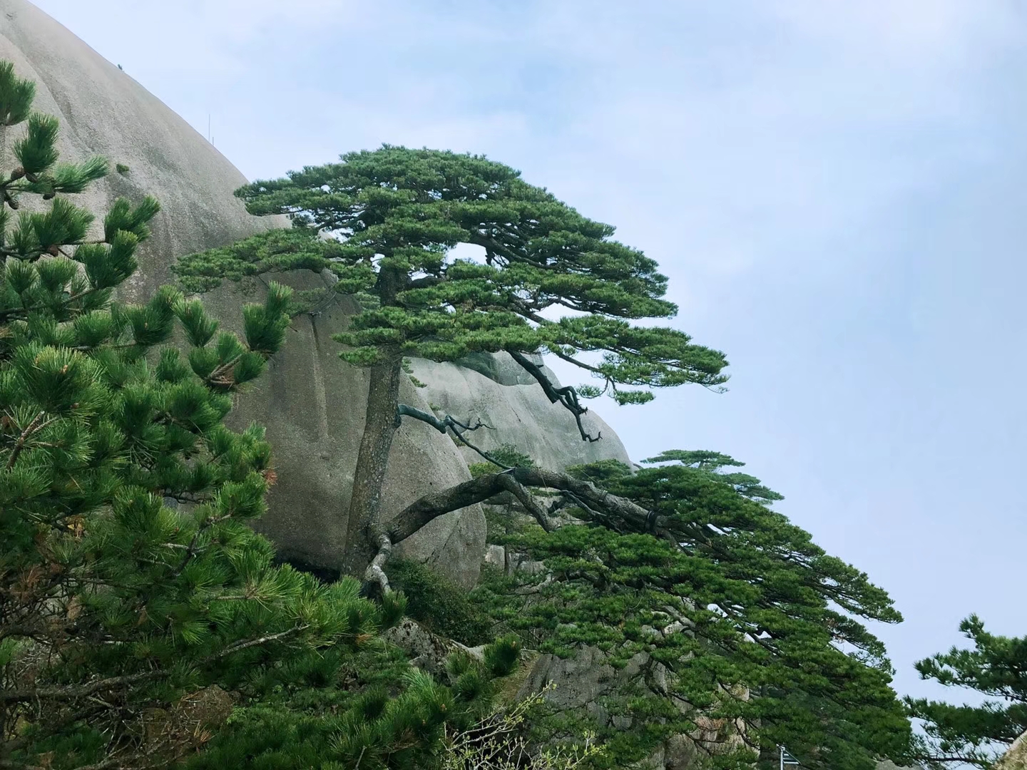 10.6郭荭 坐标:黄山