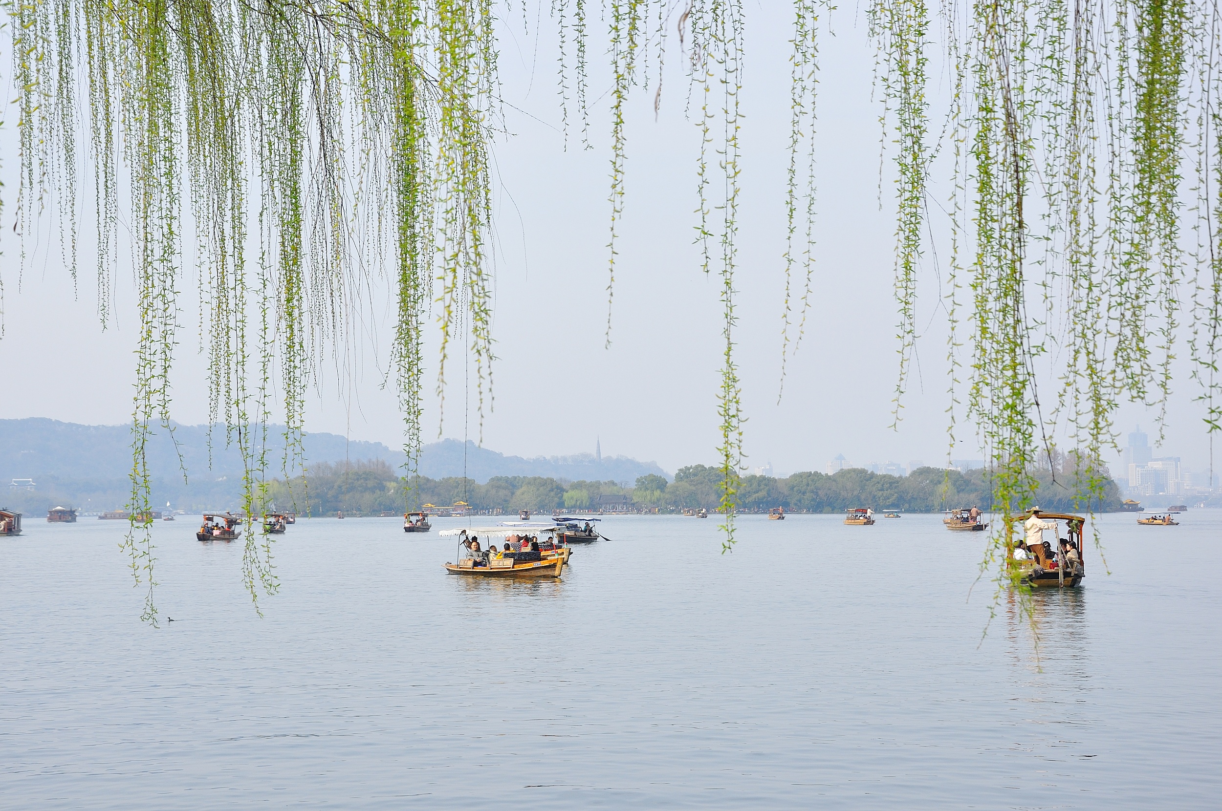 杭州西湖柳树阳光风景高清图片下载-正版图片500194420-摄图网