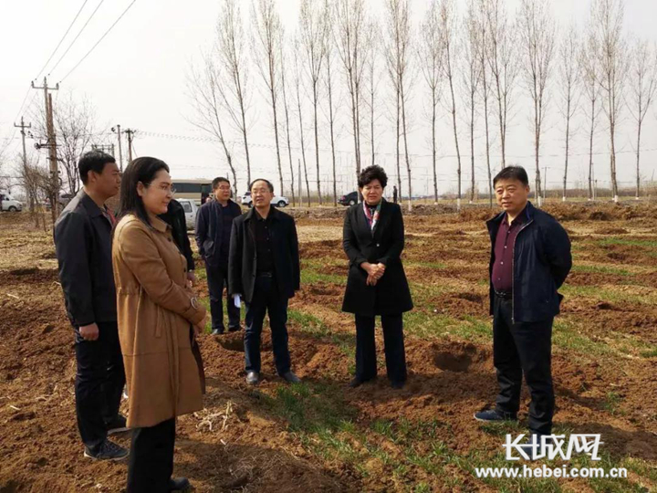唐山市领导卢宏秋督导检查造林绿化和森林防火