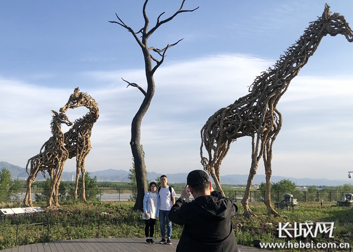 微视频|【北京世园会】揭开植物馆“神秘”面纱 “打卡”世界最大枯木动物雕塑