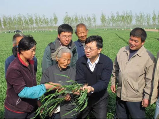 中国农业大学扎根曲周的故事：探索绿色发展之路