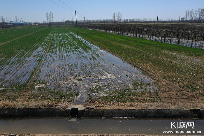 河北:26个大中型灌区已灌溉农田130多万亩