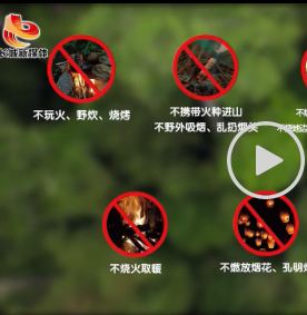 【微视频】珍爱森林 防火于未“燃”