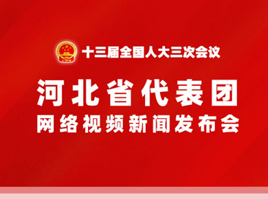 河北省代表团网络视频新闻发布会