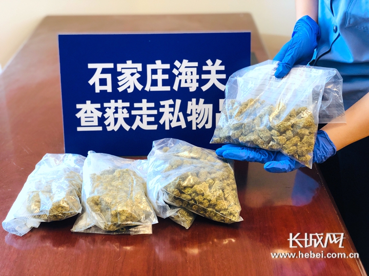 石家庄海关连续查获邮寄渠道走私毒品案 查扣大麻283.69克