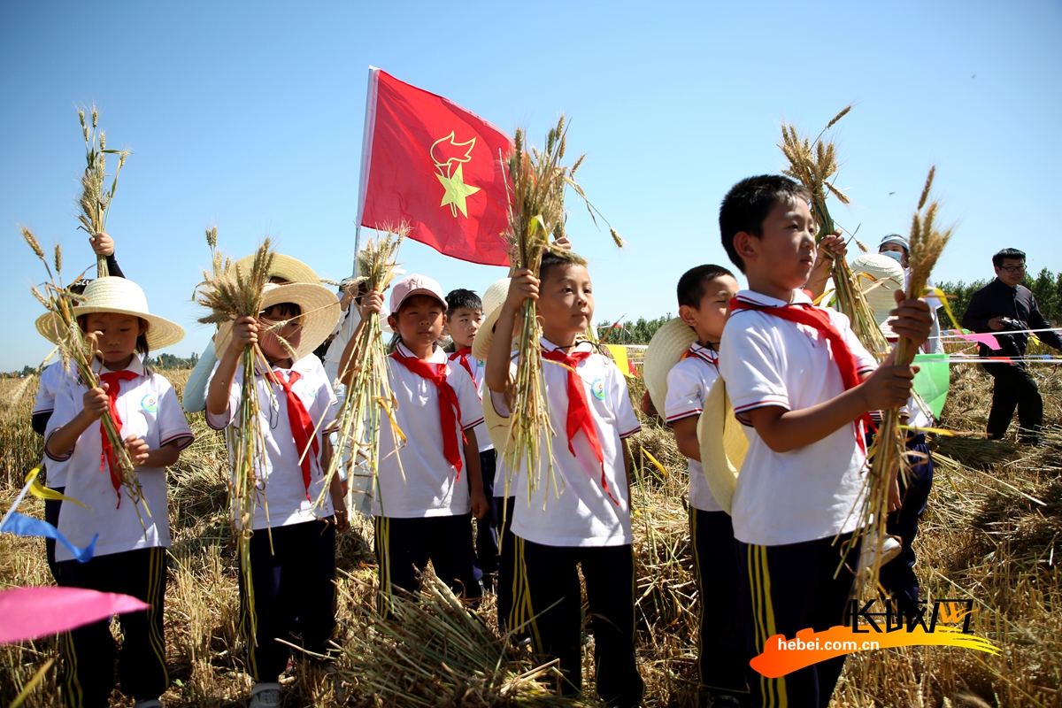 龙涌口第二届农耕文化节-项目进展信息公开 - 慈链公益