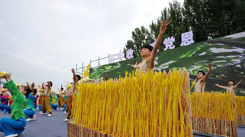河北举办中国农民丰收节庆祝活动 