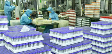 河北滄州：打造藥包材產業基地