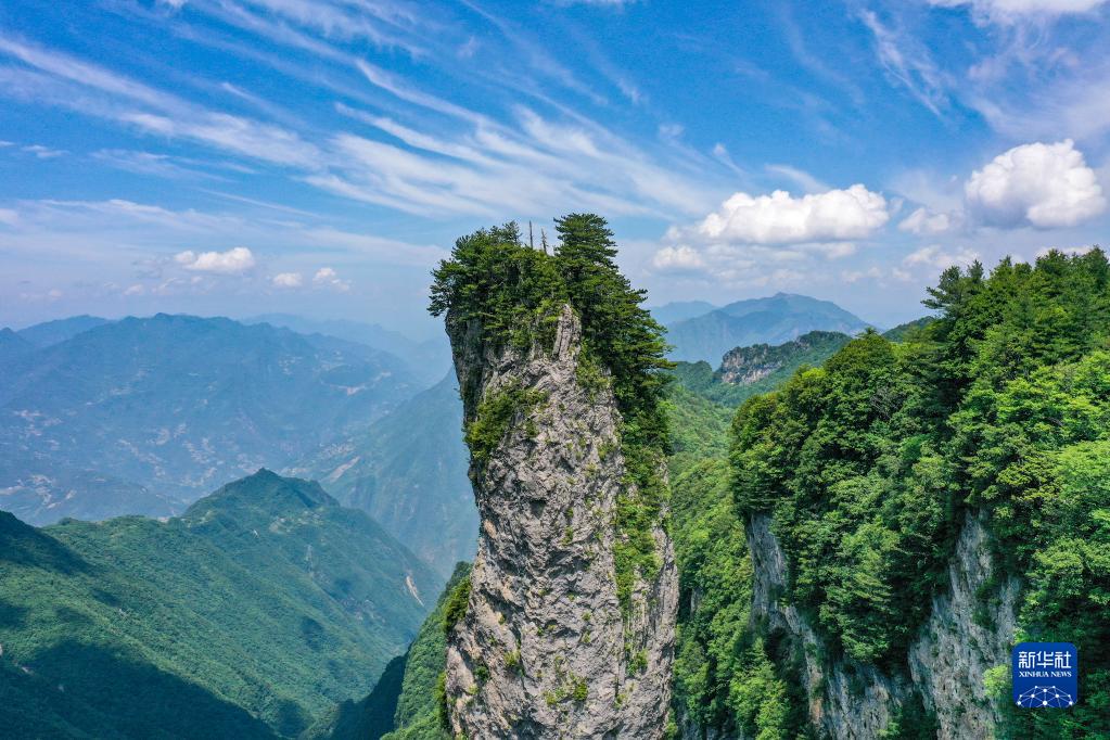 夏日阴条岭青山如黛