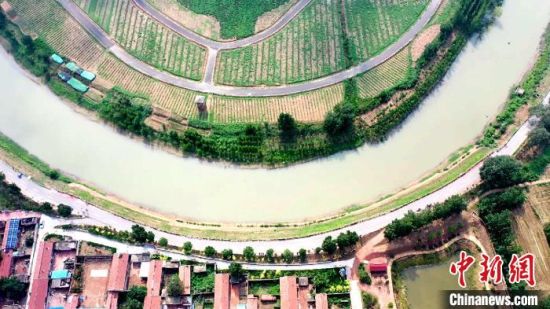 航拍大运河衡水市景县华家口夯土险工 景县县委宣传部提供