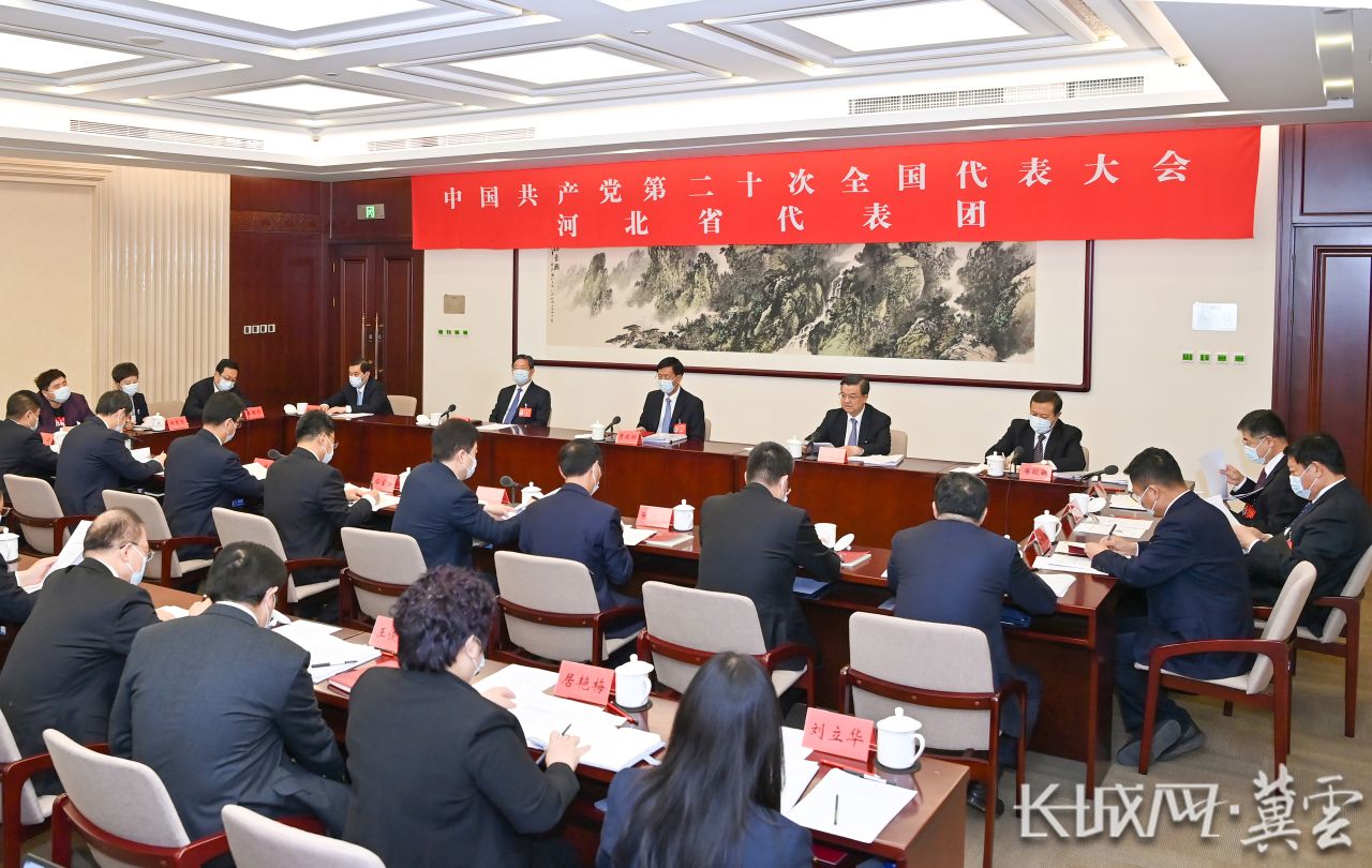 河北代表团讨论十九届中央纪委工作报告和《中国共产党章程（修正案）》