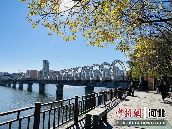 图为承德武烈河岸边，水清树绿的好风景。 秦晶晶