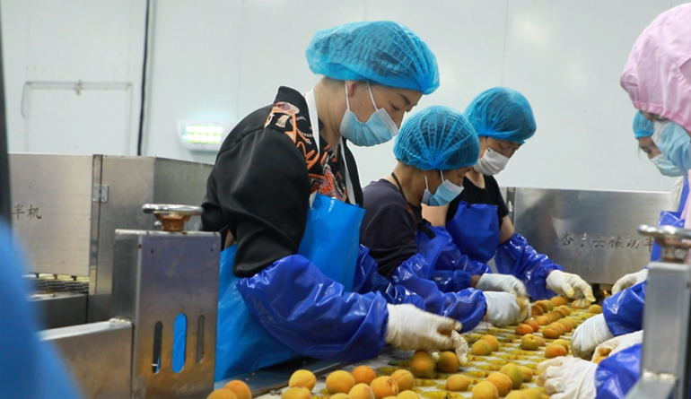  Looking at China in Thousands of Cities and Hundreds of Counties | Shahe, Hebei Province: There are ways to "live" in cold storage for fruits and vegetables and become rich