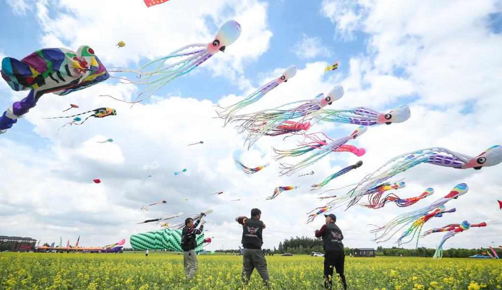  Kangping, Liaoning: Paper Kites by Wolong Lake