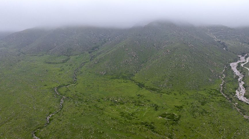 秋雨润绿贺兰山