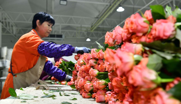 山东日照：发挥地名标识功能 助力乡村产业振兴