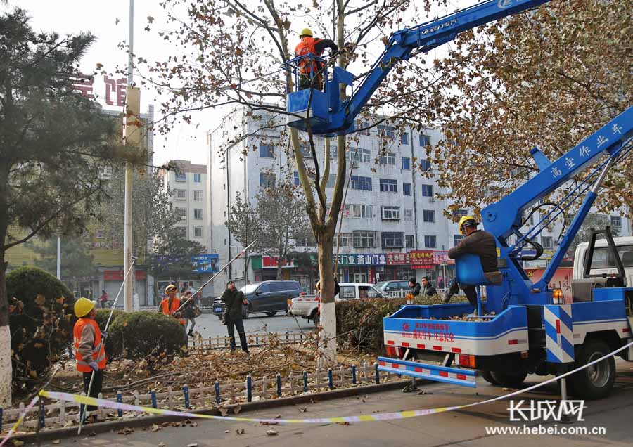 秦皇岛冬日树木修剪掀城市绿化热