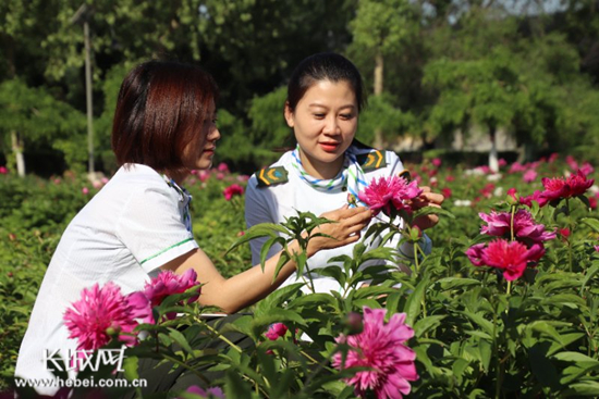 刘杨 通讯员 董丽英)5月3日,正值春暖花开的季节,在石安高速邢台所院