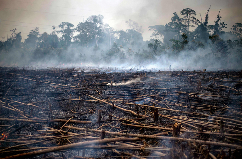 秘鲁农民为毁林开荒焚烧热带雨林 林间烟雾弥漫