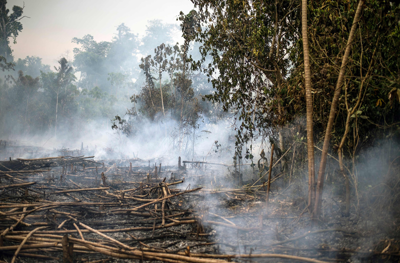秘鲁农民为毁林开荒焚烧热带雨林 林间烟雾弥漫