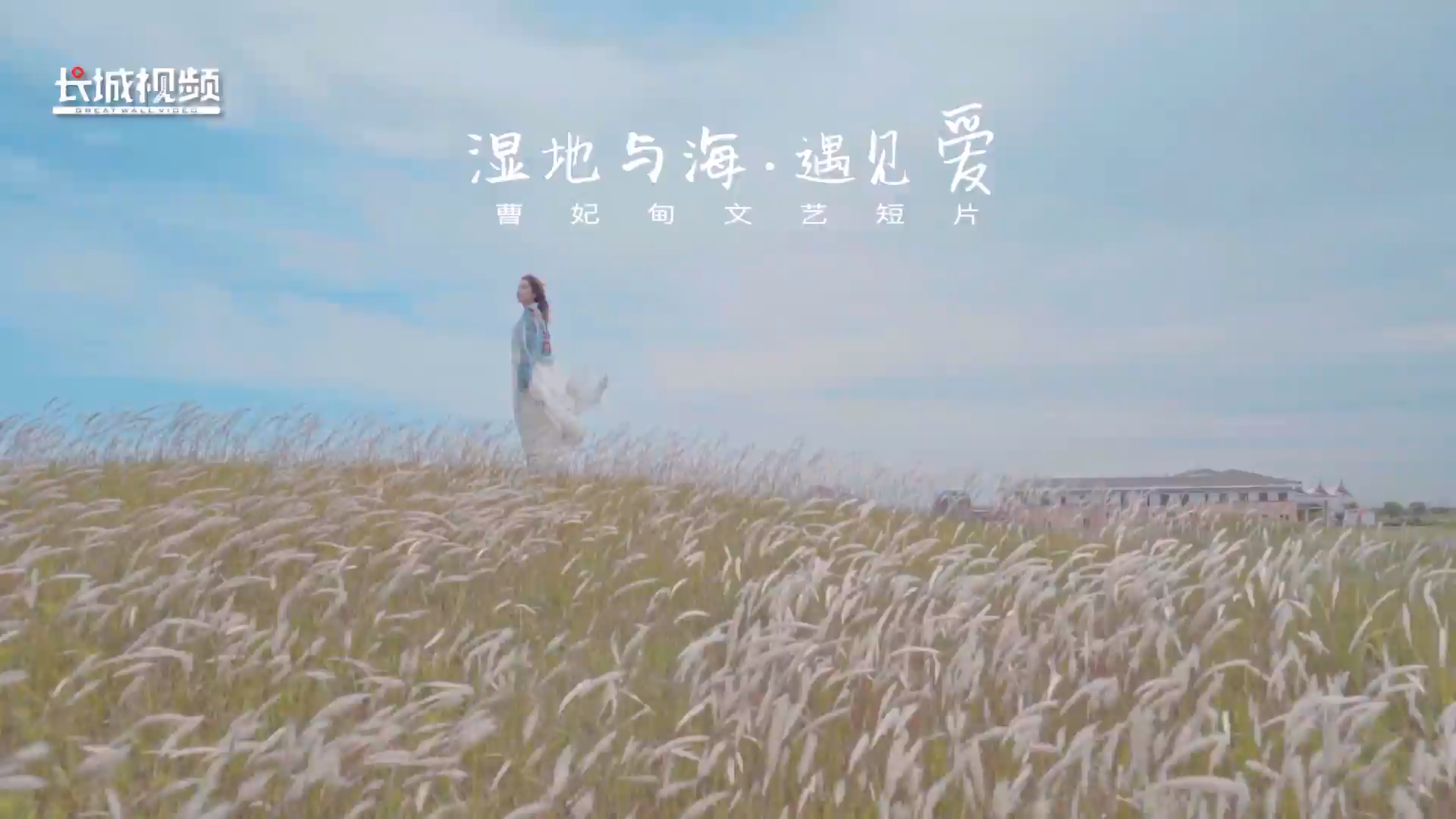 微视频丨曹妃甸：湿地与海遇见爱