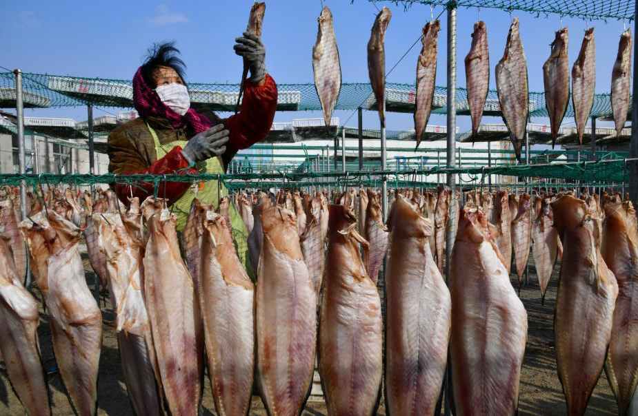 山东渔村：特色鱼干供应市场